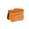 BORSA TERMICA 7 LT PORTA LATTINE POLAR ICE 1 _gcOzlPN8x.jpg